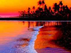 Gentelman si businessman de succes